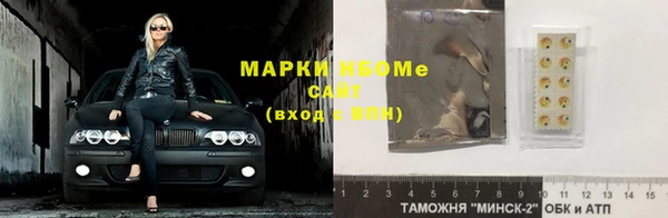 стаф Магас