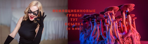 индика Анжеро-Судженск