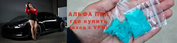 стаф Магас