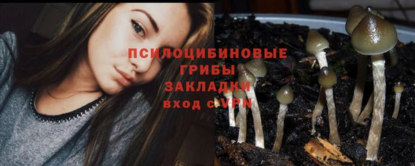 прущая мука Майский