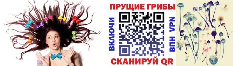 Галлюциногенные грибы GOLDEN TEACHER  где можно купить   Усть-Катав 